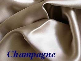 Feeling Pampered King Champagne 100% Mulberry Silk Pillowcase for Hair and Facial Beauty