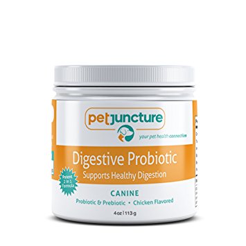 100% Natural Advanced Probiotics & Prebiotics for Dogs by Pet Juncture, Best Support for Digestive Health, Diarrhea Relief, Boost Immune System, Potent Naturally Derived Formula, Chicken Flavor