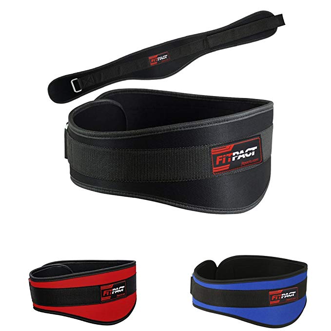 FITPACT weight lifting belt Curve 6 inch gym workout training exercise fitness powerlifting