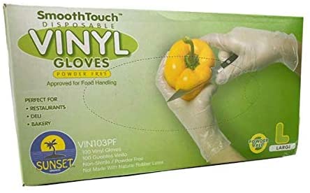 100 Disposable Vinyl Gloves, Non-Sterile, Powder-Free, Smooth Touch, Food Service Grade, Large Size [100 Gloves per Box]
