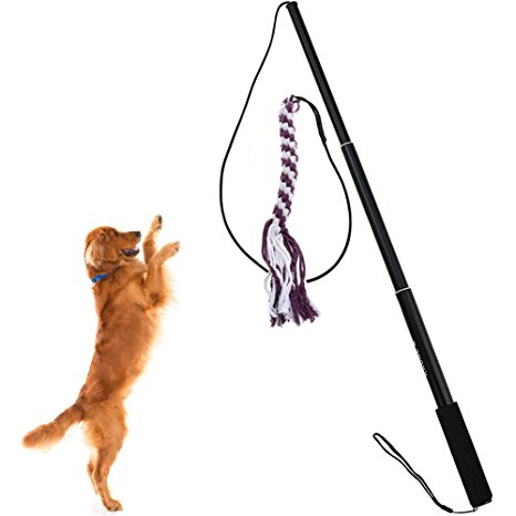 Sanzang Dog toy dog outdoor Play fun Interactive Chasing, Teaser and Exerciser, Extendable Length Interactive Wand