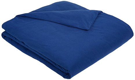 AmazonBasics Solid Lightweight Flannel Duvet Cover - Full/Queen, Cadet Blue