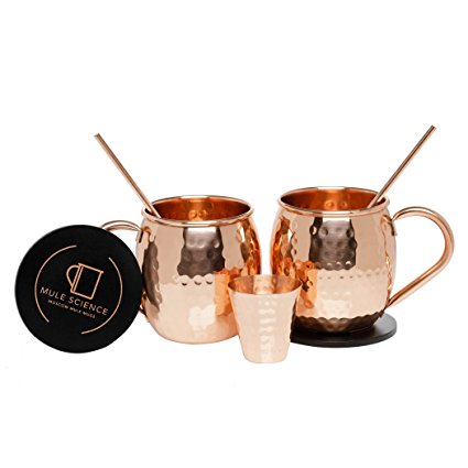 Mule Science Moscow Mule Copper Mugs - Set of 2 - 100% HANDCRAFTED - Pure Solid Copper Mugs 16 oz Gift Set with BONUS: Highest Quality Cocktail Copper Straws, Shot glass and 2 coasters!