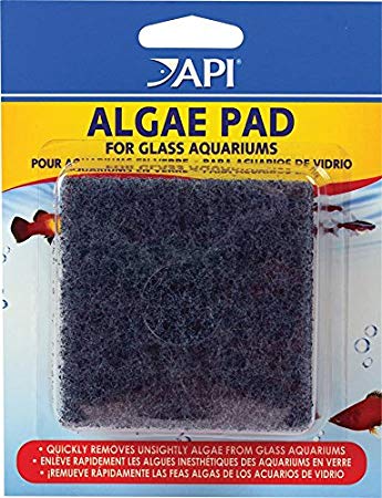 API HAND HELD ALGAE PAD For Glass Aquariums 1-Count Container