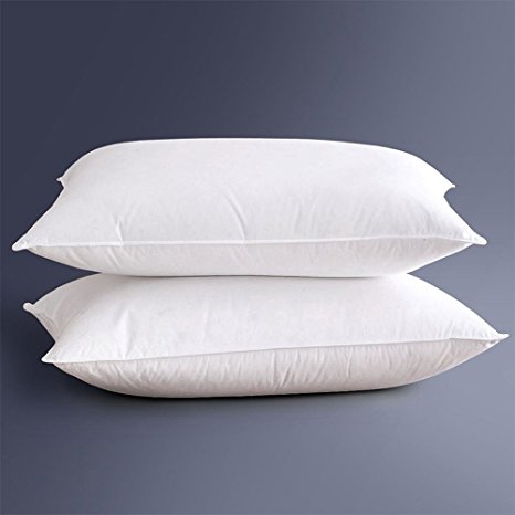 2 Packs Hippih Standard Pillow 100% Cotton - Five-Star Hotel Sleeping Pillows