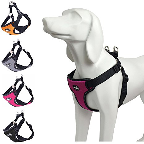 BINGPET No Pull Dog Harness Reflective for Pet Puppy Freedom Walking