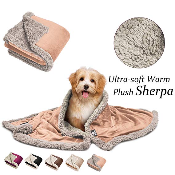 Pawsse Sherpa Puppy Blanket for Small Dogs Kitten, Warm Flannel Plush Pet Bed Blanket Reversible, 45"x30"