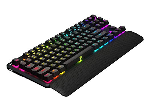 Fnatic miniSTREAK Pro Gaming Mechanical Tenkeyless Esports Keyboard (Cherry MX Blue Switches, Multi-Color RGB Lighting, Ergonomic Wrist Rest, Programmable) US-Layout