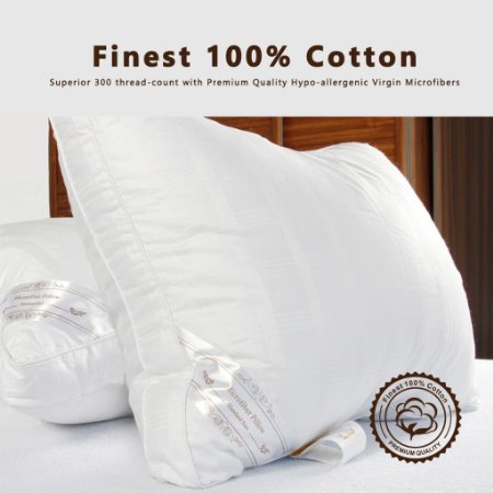 DUCK & GOOSE CO Premium Hotel Quality Microfiber Luxury Bedding Pillow, Hypo-Allergenic, 100% Cotton with Stylish Design White with White Piping Two Pillows Standard
