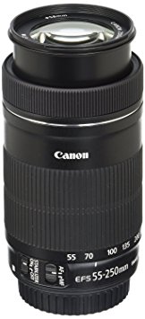 Canon EF-S 55-250mm F4-5.6 IS STM Lens for Canon SLR Cameras (Certified Refurbished)