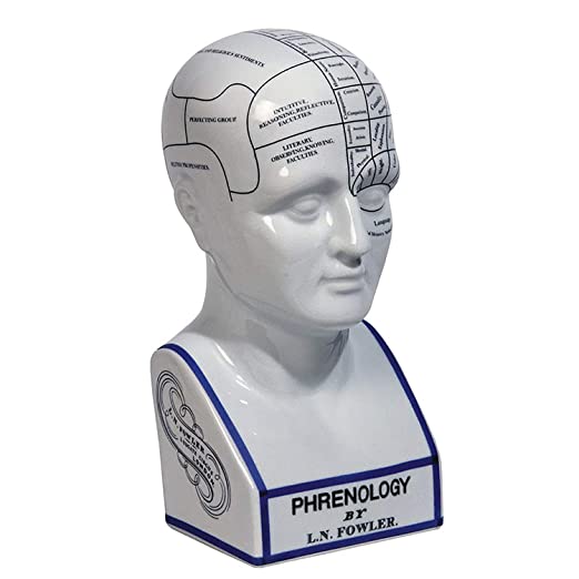 Authentic Models Phrenology Head