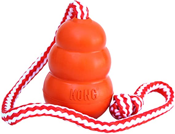 KONG Aqua Dog Toy