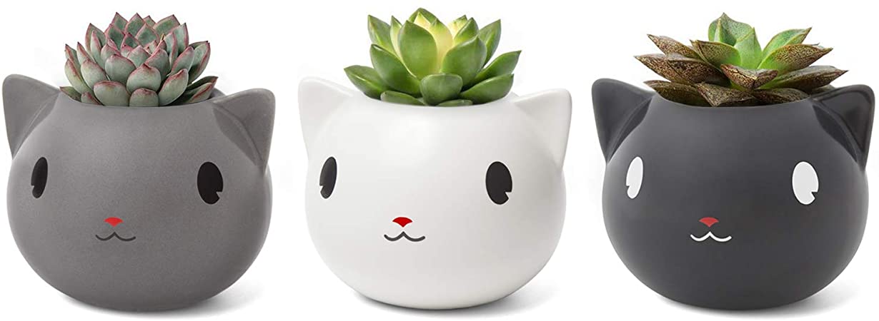 Mkono Mini Cute Cat Succulent Planter Pots Decorative Ceramic Cactus Planter Small Animal Flower Plant Window Box Containers with Drainage for Cat Lovers Gift Idea, Set of 3