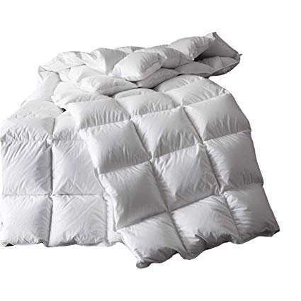 Cosydown Down Comforter,All Season Goose Down Comforter,Queen Duvet Insert 1200 Thread Count 750+ Fill Power 100% Egyptian Cotton(90x90 White)