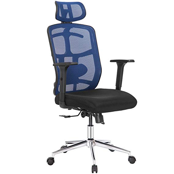 TOPSKY Mesh Computer Office Chair Ergonomic Design Chair Skeletal Back Synchronous Mechanism (Navy Blue_New)