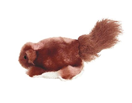 Beaver dog toy