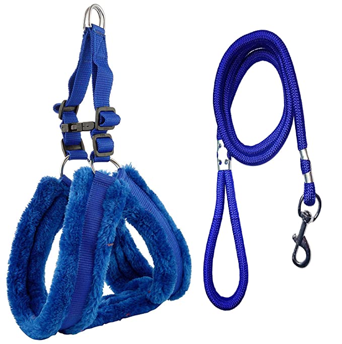 TYSON Feather Soft Padded Nylon Dog Harness & Leash Rope (Large, Blue)