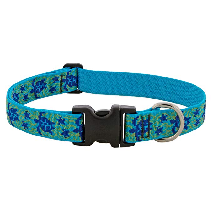 Lupine 1-Inch Turtle Reef Adjustable Dog Collar