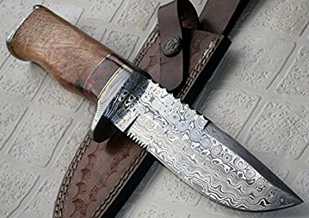 REG 16 C-FR Handmade Damascus Steel 11.00 Inches Bowie Knife - Exotic Wood Handle
