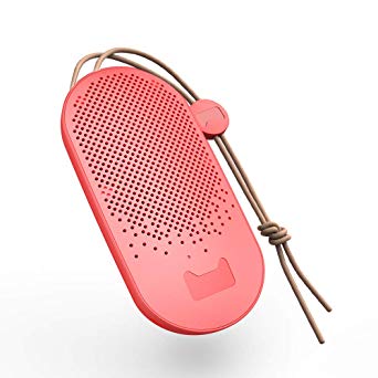 Yoobao Bluetooth Speakers & Power Bank 10000mAh Portable Charger(2-in-1),24-Hour Playtime, 32 ft Bluetooth Range, Built-in Mic. Perfect Bluetooth Speaker Power Bank for iPhone, Samsung and More(Red)