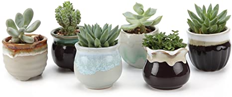 T4U 2.5 Inch Ceramic Flowing Glaze Black&White Succulent Plant Pot Cactus Plant Pot Flower Pot Container for Christmas and Birthday Gifts and Home Decoration, Pack of 6
