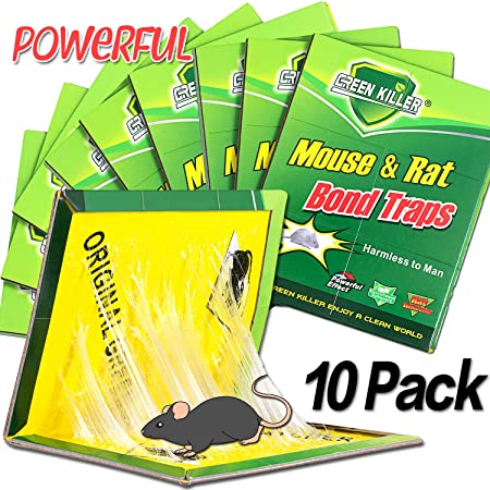 Dekugaa Mouse Trap, Rat/Mice/Mouse Glue Traps, Rat Traps Sticky Boards, New Version Strongly Adhesive, Mouse Traps That Work Capturing Indoor and Outdoor Rat Cockroach Ant Spider