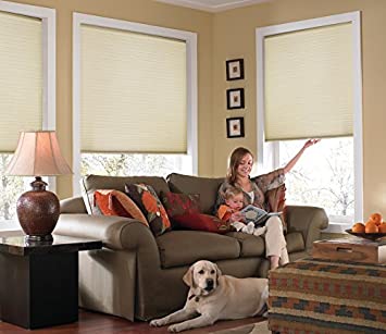 Windowsandgarden Custom Cordless Single Cell Shades, 32W x 72H, Daylight, Light Filtering 21-72 Inches Wide
