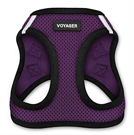 Voyager Step-In Air Dog Harness - All Weather Mesh, Step In Vest Harness for Small and Medium Dogs by Best Pet Supplies