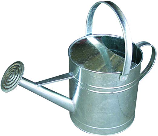 Little Giant 10 Quart Galvanized Watering Can