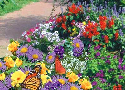 Garden Butterfly Mat - Instant Garden, Roll N Grow - Seeded Mat - Just Roll and Grow! Instant Flower Garden - (Easy & Hassle Free!) - Grow Flowers Quickly & Easily!