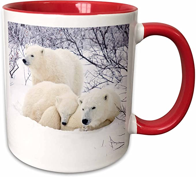3dRose 207606_5"Churchill Wildlife Management Area-Polar Bears and Two cubs Ceramic Mug, 11 oz, Red/White