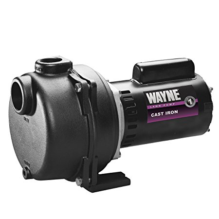 WAYNE WLS100 1 HP High Volume Cast Iron Lawn Sprinkling Pump