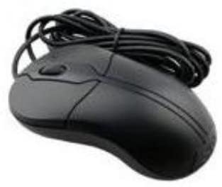 Souris Optique Usb Filaire DELL Moc5uo R41108 0XN967 Pc Mouse Noire