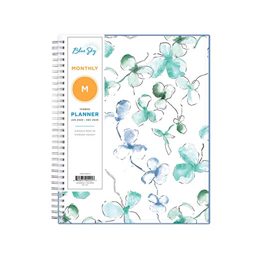 Blue Sky 2020 Monthly Planner, Flexible Cover, Twin-Wire Binding, 8" x 10", Lindley