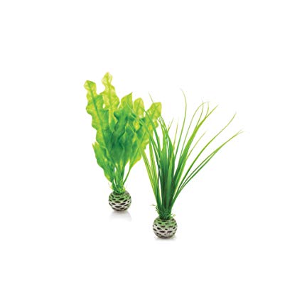biOrb Easy Plant Sets