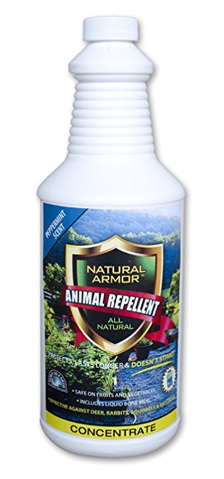 Natural Armor Animal Repellent – Quart - 32 Ounce - Peppermint Scent - Concentrate - A Deterrent Spray That Gets Rid Of & Keeps Out Rodents, Animals & Critters