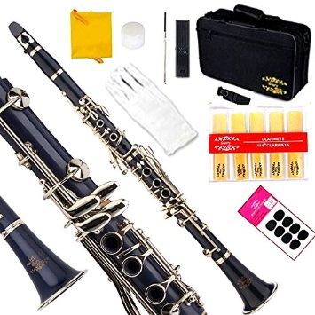 Glory Dark BlueSilver Keys Bb B Flat Clarinet with Second Barrel 11reeds8 Pads cushionscasecarekit -Click to see More Colors