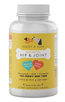 Extra Strength Hip & Joint - 800mg USA Import Glucosamine for Dogs - 120 Chewable Joint Supplements for Improved Mobility and Pet Joint Pain Relief