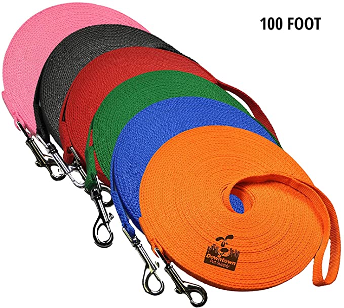 Downtown Pet Supply Dog Puppy Obedience Recall Training Agility Lead - Great for Training, Play, Camping, or Backyard (15ft, 20ft, 30ft, 50ft, 75ft, 100ft, 150ft, 200ft)
