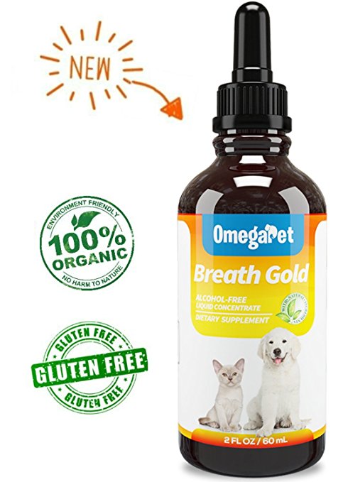 Kennel Cough Medicine for Dogs - Organic Dog Cough Medicine for Colds & Allergies - Natural Kennel Cough Treatment with Mullein Leaf & Elderberry