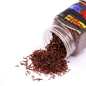 Sequoia Freeze Dried Bloodworms for Fish -Blood Worms for Tropical Freshwater Fish or Goldfish Food