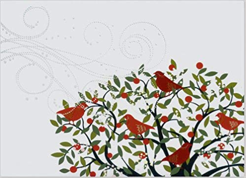 Festive Birds Deluxe Holiday Boxed Cards