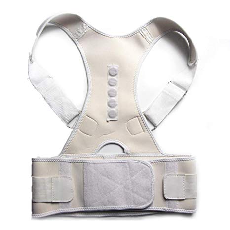 Dragon Honor Posture Corrector Brace Shoulder Back Support Belt for Men Women Supports Belt Shoulder Posture (White, M)