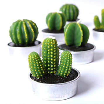AiXiAng Handmade Delicate Cactus Candles for Home Decorative Cactus Candles Tea Light Candles 6 Pcs