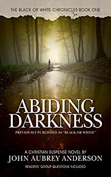 Abiding Darkness (The Black or White Chronicles Book 1)