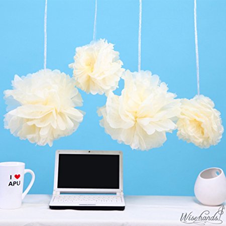 Wisehands 15PCS Ivory Tissue Paper Flowers Pom Poms for Wedding and Party Decoration