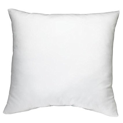 DreamHome - 20" X 20" Square Poly Pillow Insert (2)