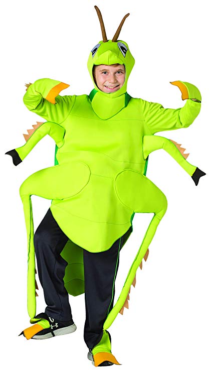 Child's Grasshopper Costume
