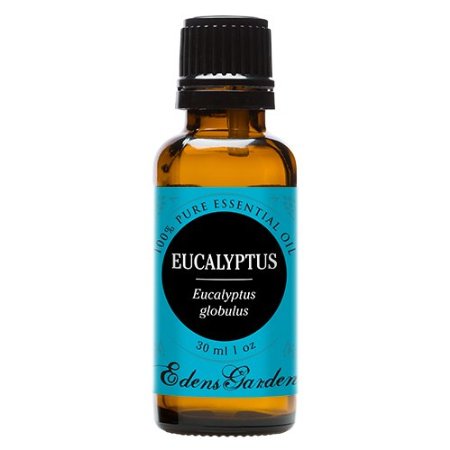 Eucalyptus Globulus 100% Pure Therapeutic Grade Essential Oil by Edens Garden- 30 ml