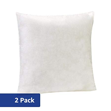 AmazonBasics Pillow Insert - 26-Inch Square, 2-Pack